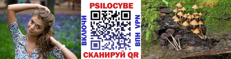 Галлюциногенные грибы Cubensis Реж